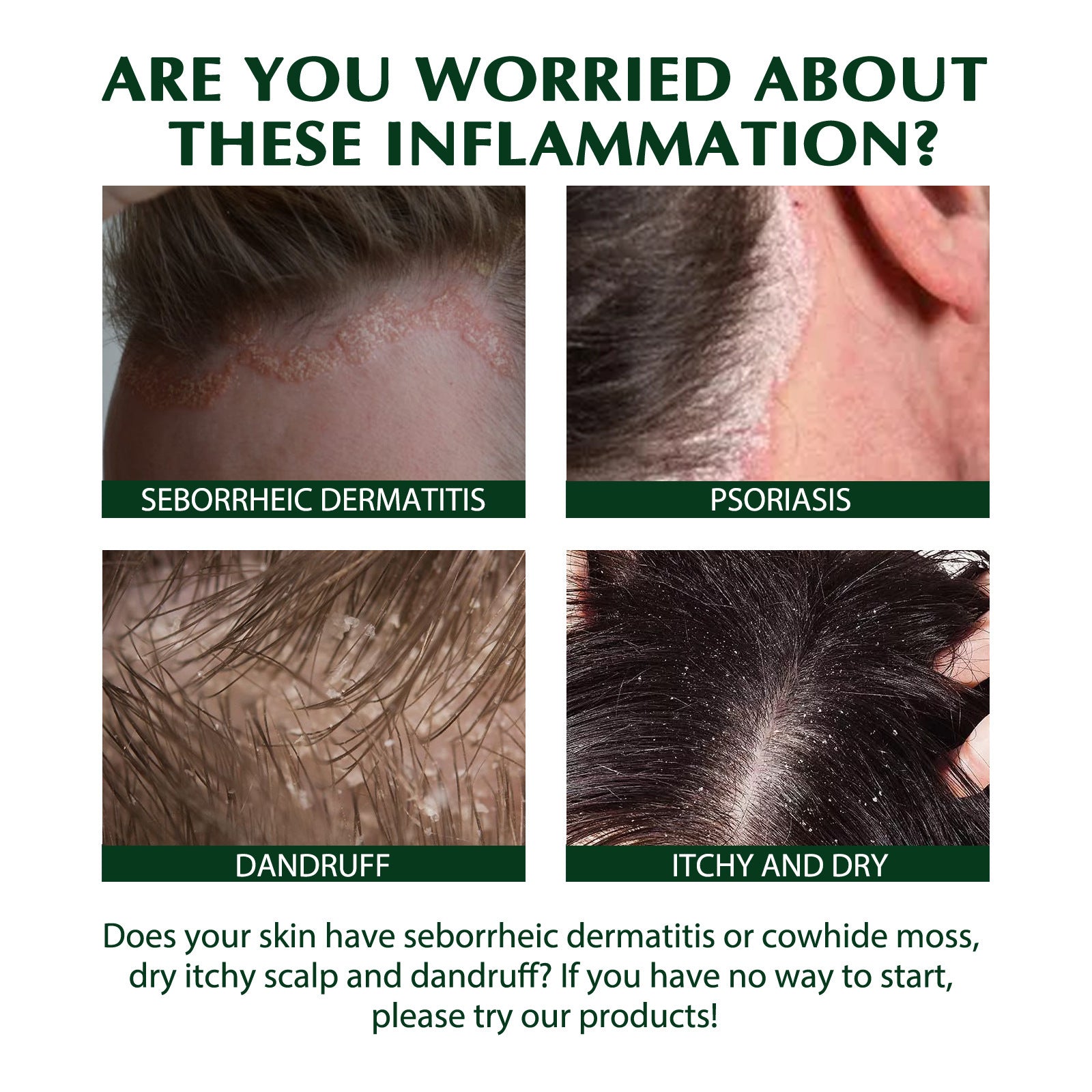 Refreshing Scalp Care Shampoo | Oil Control & Volume